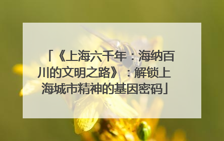 《上海六千年：海纳百川的文明之路》：解锁上海城市精神的基因密码