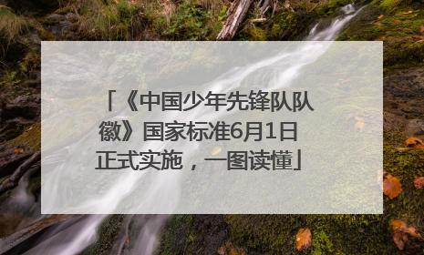 《中国少年先锋队队徽》国家标准6月1日正式实施，一图读懂