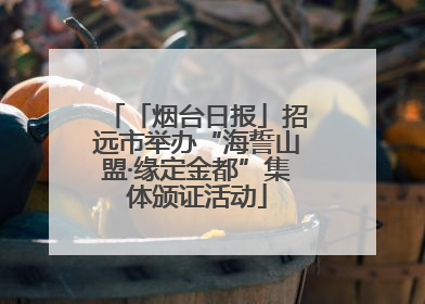 「烟台日报」招远市举办“海誓山盟·缘定金都”集体颁证活动