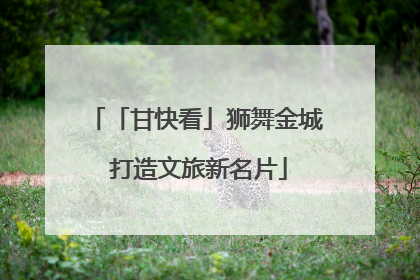 「甘快看」狮舞金城 打造文旅新名片