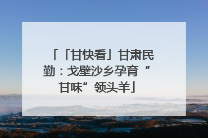「甘快看」甘肃民勤：戈壁沙乡孕育“甘味”领头羊