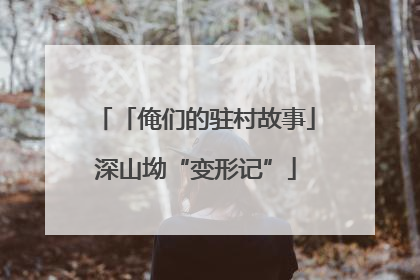 「俺们的驻村故事」深山坳“变形记”