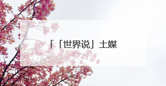 「世界说」土媒：美国关税决策摇摆不定 全球不确定性持续攀升