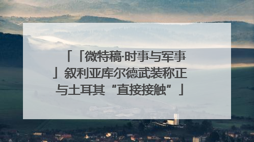 「微特稿·时事与军事」叙利亚库尔德武装称正与土耳其“直接接触”