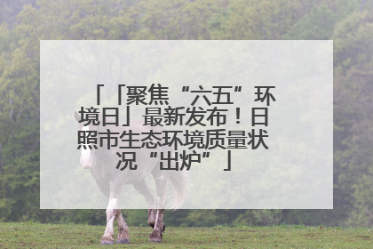 「聚焦“六五”环境日」最新发布！日照市生态环境质量状况“出炉”