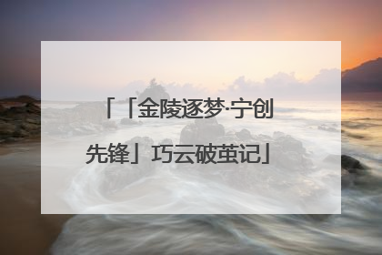 「金陵逐梦·宁创先锋」巧云破茧记