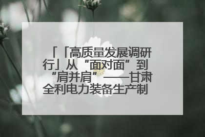 「高质量发展调研行」从“面对面”到“肩并肩”——甘肃全利电力装备生产制造项目一线见闻