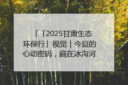 「2025甘肃生态环保行」视觉｜今夏的心动密码，藏在冰沟河的潋滟波光里