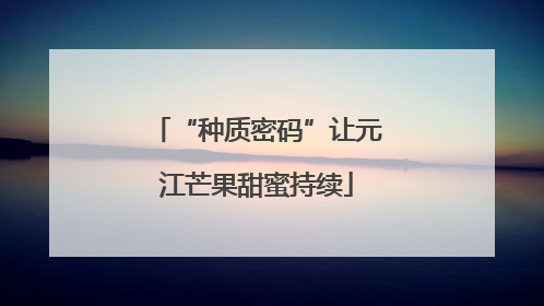 “种质密码”让元江芒果甜蜜持续