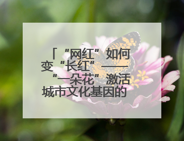 “网红”如何变“长红”——“一朵花”激活城市文化基因的破题之路