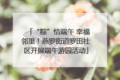 “粽”情端午 幸福邻里！燕罗街道罗田社区开展端午游园活动