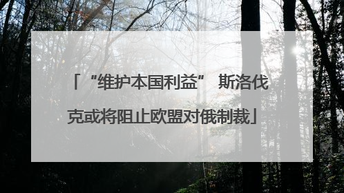“维护本国利益” 斯洛伐克或将阻止欧盟对俄制裁