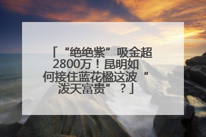 “绝绝紫”吸金超2800万！昆明如何接住蓝花楹这波“泼天富贵”？