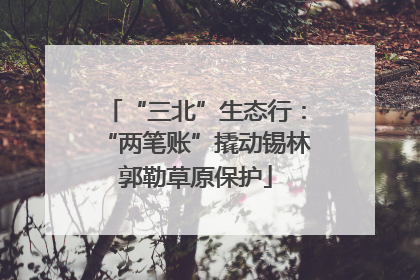 “三北”生态行：“两笔账”撬动锡林郭勒草原保护