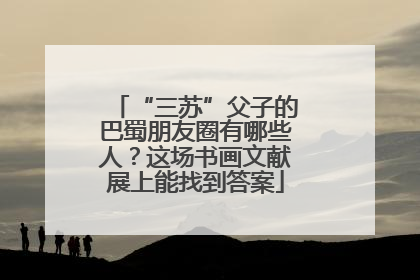 “三苏”父子的巴蜀朋友圈有哪些人？这场书画文献展上能找到答案