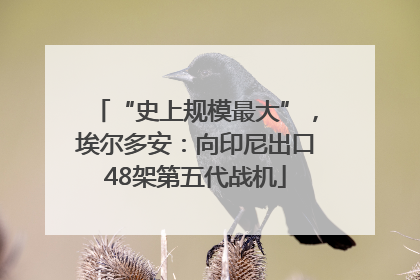 “史上规模最大”，埃尔多安：向印尼出口48架第五代战机
