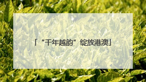 “千年越韵”绽放港澳