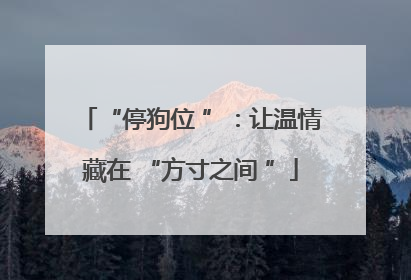 “停狗位 ”：让温情藏在 “方寸之间 ”