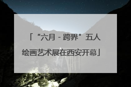“六月 - 跨界”五人绘画艺术展在西安开幕