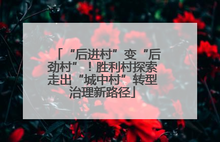 “后进村”变“后劲村”！胜利村探索走出“城中村”转型治理新路径