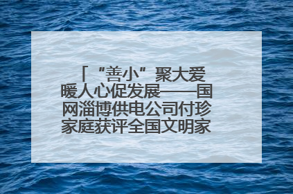 “善小”聚大爱 暖人心促发展——国网淄博供电公司付珍家庭获评全国文明家庭背后的文明密码
