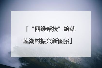 “四维帮扶”绘就莲湖村振兴新图景