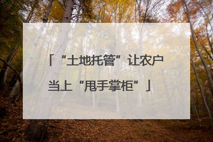 “土地托管”让农户当上“甩手掌柜”