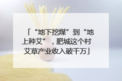 “地下挖煤”到“地上种艾”，肥城这个村艾草产业收入破千万