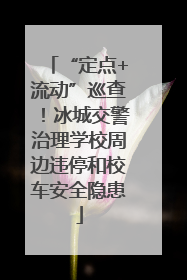 “定点+流动”巡查！冰城交警治理学校周边违停和校车安全隐患