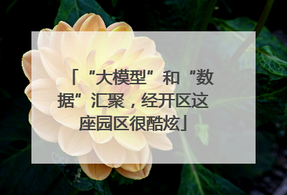 “大模型”和“数据”汇聚，经开区这座园区很酷炫