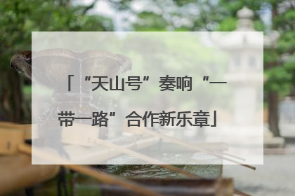 “天山号”奏响“一带一路”合作新乐章