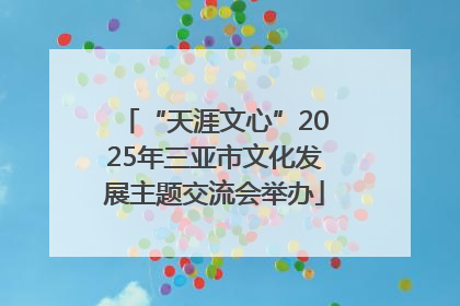 “天涯文心”2025年三亚市文化发展主题交流会举办