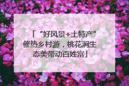 “好风景+土特产”催热乡村游，桃花涧生态美带动百姓富