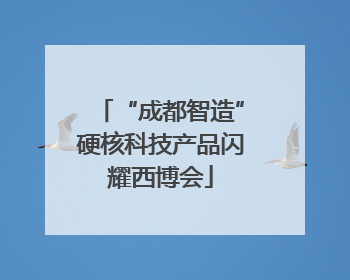 “成都智造”硬核科技产品闪耀西博会
