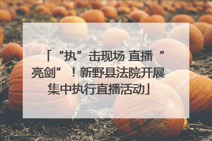 “执”击现场 直播“亮剑”！新野县法院开展集中执行直播活动