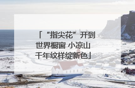 “指尖花”开到世界橱窗 小凉山千年纹样绽新色