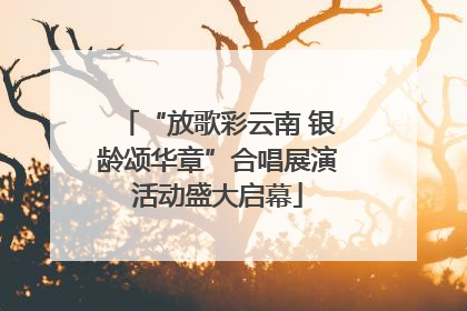“放歌彩云南 银龄颂华章”合唱展演活动盛大启幕