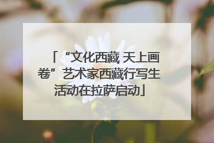 “文化西藏 天上画卷”艺术家西藏行写生活动在拉萨启动