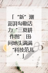 “新”潮澎湃勾勒活力“三夏耕作图” 田间地头满满“科技范儿”