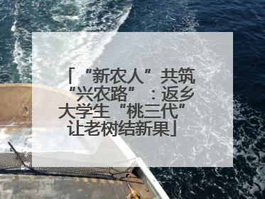 “新农人”共筑“兴农路”：返乡大学生“桃三代”让老树结新果
