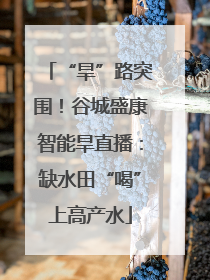 “旱”路突围！谷城盛康智能旱直播：缺水田“喝”上高产水