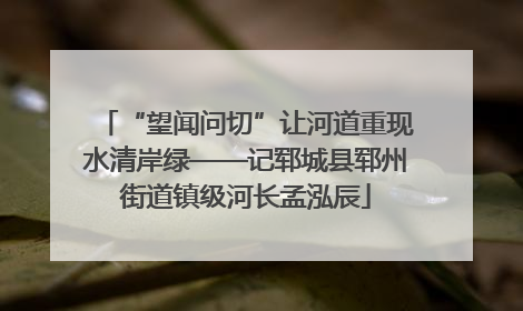 “望闻问切”让河道重现水清岸绿——记郓城县郓州街道镇级河长孟泓辰