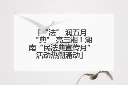 “法” 润五月 “典” 亮三湘！湖南“民法典宣传月”活动热潮涌动