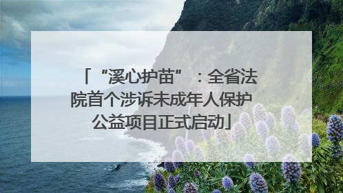“溪心护苗”：全省法院首个涉诉未成年人保护公益项目正式启动