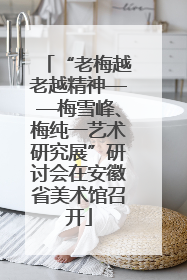 “老梅越老越精神——梅雪峰、梅纯一艺术研究展”研讨会在安徽省美术馆召开