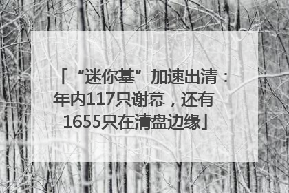 “迷你基”加速出清：年内117只谢幕，还有1655只在清盘边缘