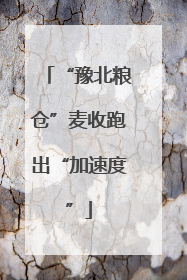 “豫北粮仓”麦收跑出“加速度”