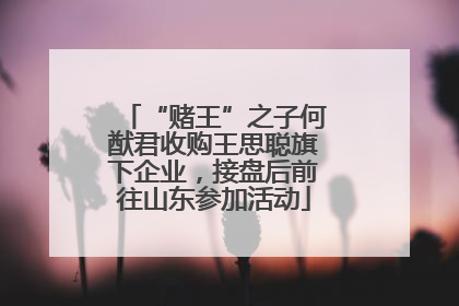 “赌王”之子何猷君收购王思聪旗下企业，接盘后前往山东参加活动