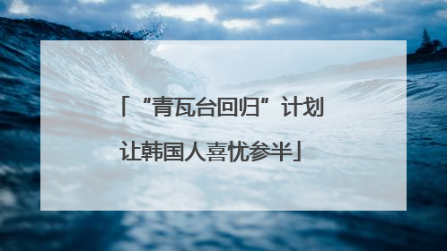 “青瓦台回归”计划让韩国人喜忧参半