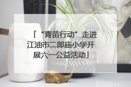“青苗行动”走进江油市二郎庙小学开展六一公益活动